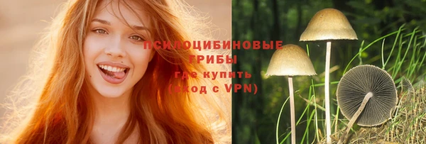 трава Абинск