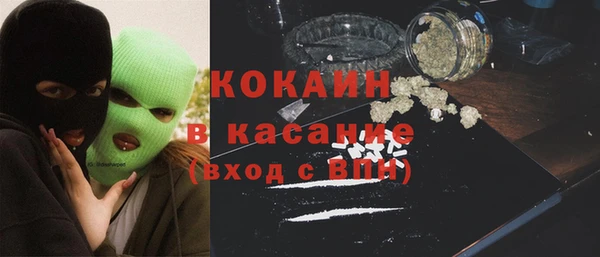 сатива Инта