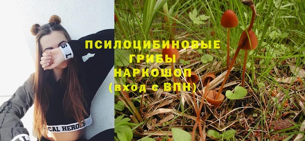 героин Абаза
